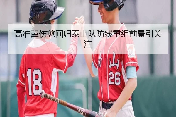 高准翼伤愈回归泰山队防线重组前景引关注